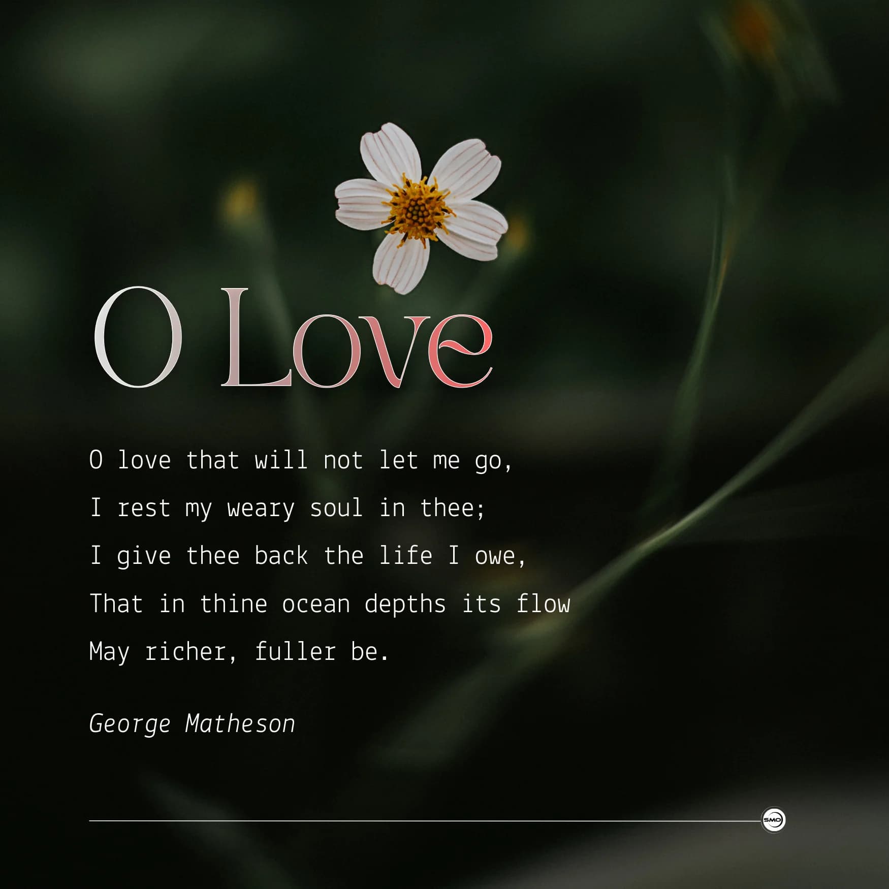 Brand Identity Design